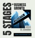 Amaris Brand Creation 5 stages of Business Growth